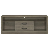 Burke Gray Driftwood 2-Drawer TV Console by Coaster at Eve Furniture
