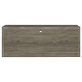 Burke Gray Driftwood 2-Drawer TV Console by Coaster at Eve Furniture