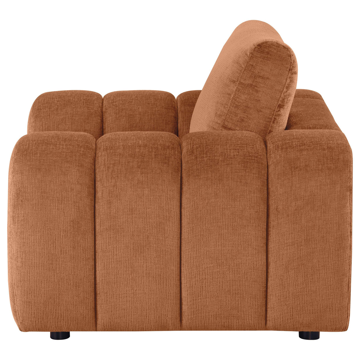 Burnett Chenille Upholstered Accent Chair Burnt Orange by Coaster at Eve Furniture