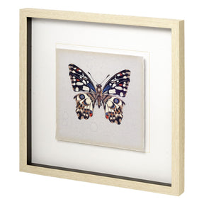Butterfly Study II by Melissa Wang a Hand Embellished Textured Framed Art Print Matted under Glass by Mercana at Eve Furniture