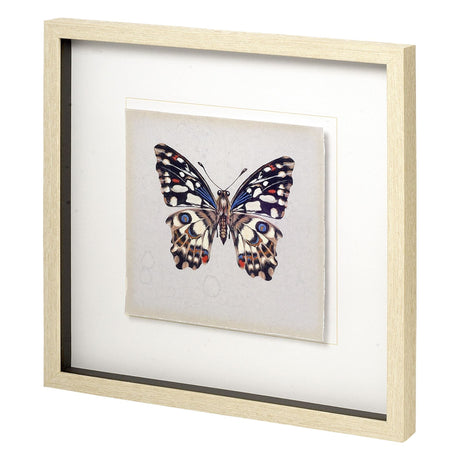 Butterfly Study II by Melissa Wang a Hand Embellished Textured Framed Art Print Matted under Glass by Mercana at Eve Furniture