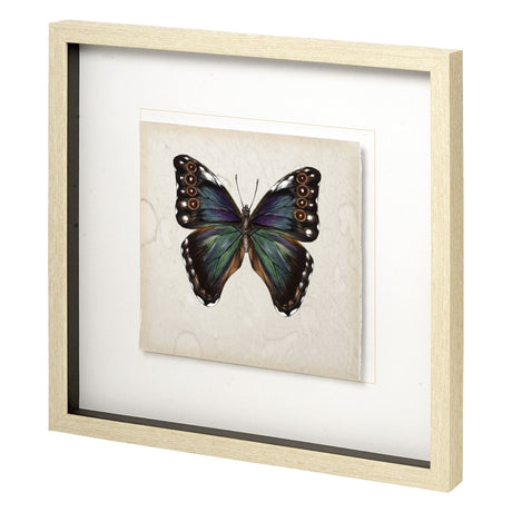 Butterfly Study III by Melissa Wang a Hand Embellished Textured Framed Art Print Matted under Glass by Mercana at Eve Furniture