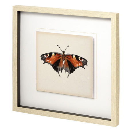 Butterfly Study IV by Melissa Wang a Hand Embellished Textured Framed Art Print Matted under Glass by Mercana at Eve Furniture