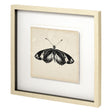 Butterfly Study VI by Melissa Wang a Hand Embellished Textured Framed Art Print Matted under Glass by Mercana at Eve Furniture