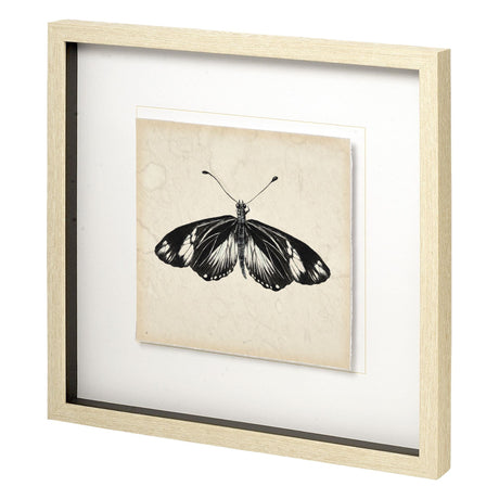 Butterfly Study VI by Melissa Wang a Hand Embellished Textured Framed Art Print Matted under Glass by Mercana at Eve Furniture