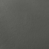 Buxton Graphite 2-Piece Leather Upholstered Living Room Set by Coaster at Eve Furniture