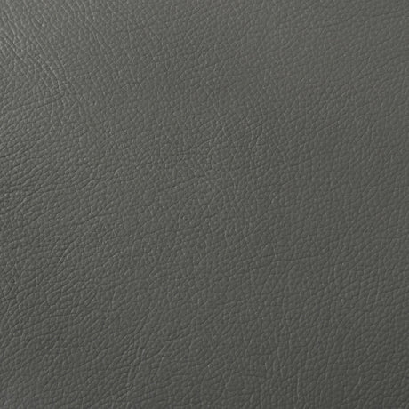 Buxton Graphite 2-Piece Leather Upholstered Living Room Set by Coaster at Eve Furniture