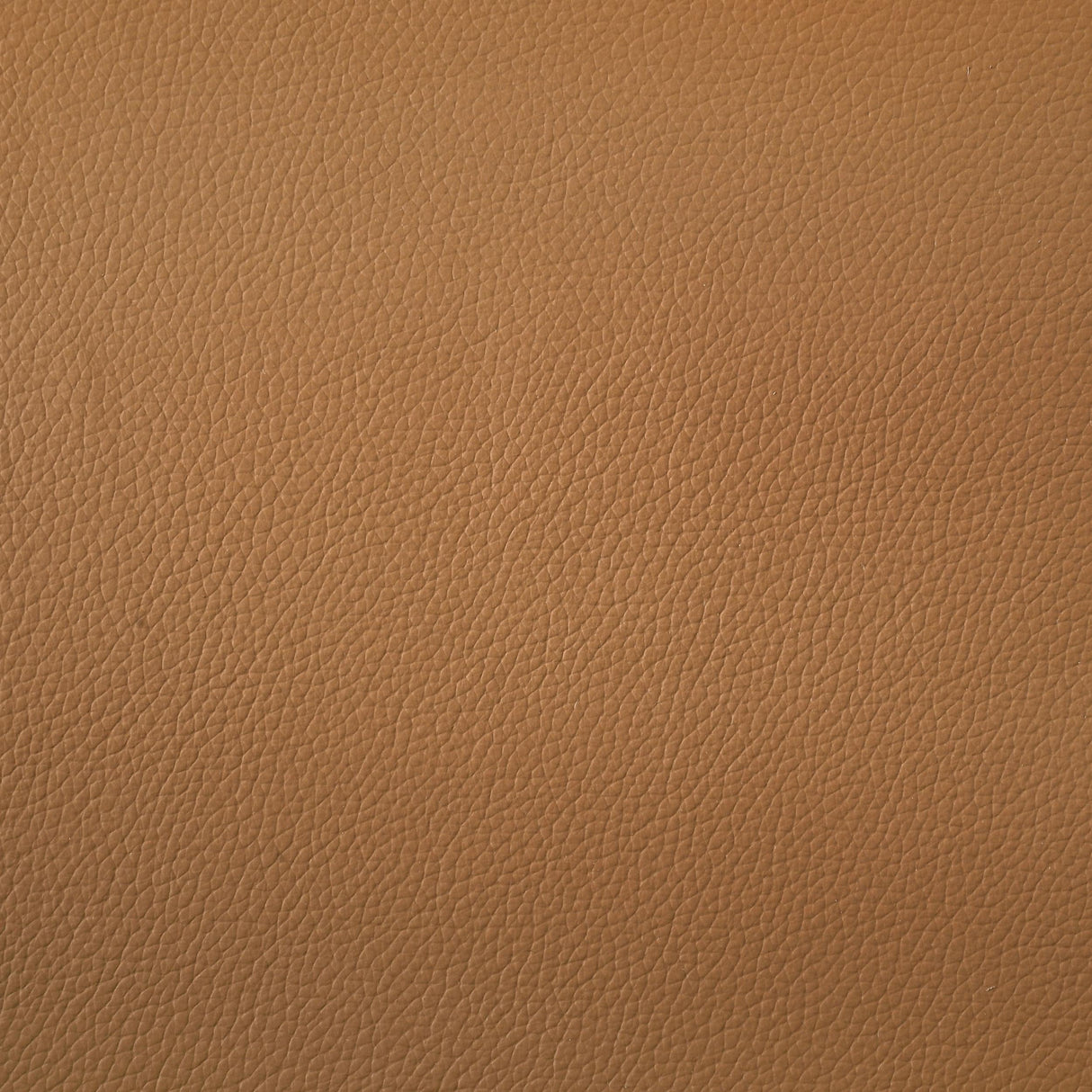 Buxton Orange Top Grain Leather Upholstered Loveseat by Coaster at Eve Furniture