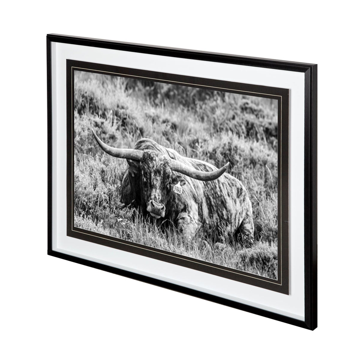 B&W Longhorn III by Tyler Stockton a Framed Photo Art Print Matted under Glass by Mercana at Eve Furniture