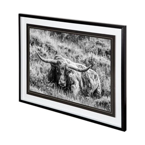 B&W Longhorn III by Tyler Stockton a Framed Photo Art Print Matted under Glass by Mercana at Eve Furniture