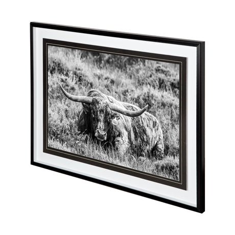 B&W Longhorn III by Tyler Stockton a Framed Photo Art Print Matted under Glass by Mercana at Eve Furniture