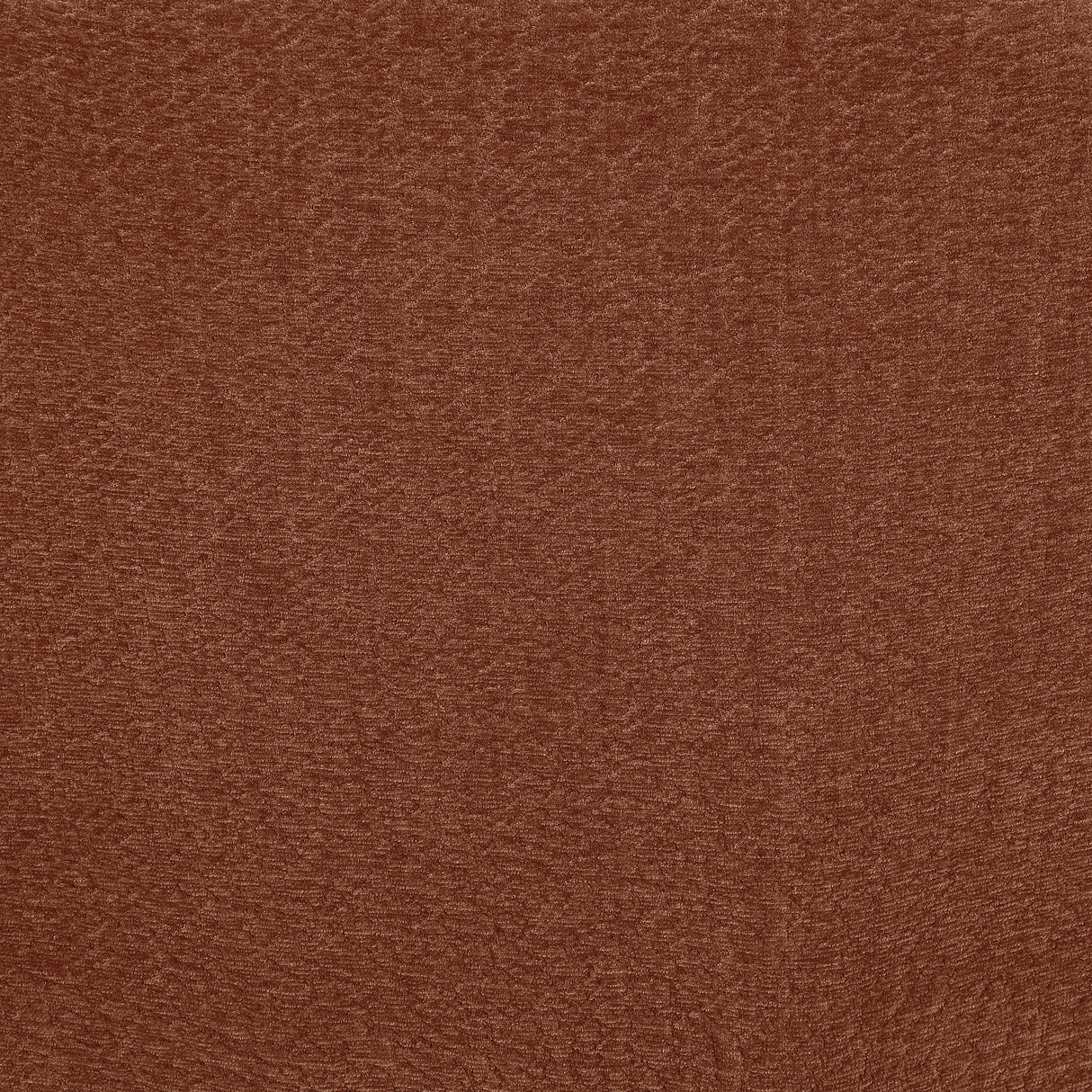 Byrne Rust Velvet Upholstered Armless Chair by Coaster at Eve Furniture