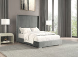 Cadwell Gray Twin Bed by Furniture of America at Eve Furniture