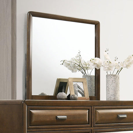 Caerwys Brown Mirror by Furniture of America at Eve Furniture