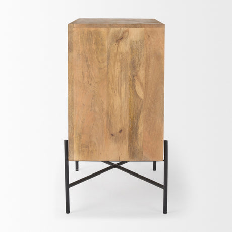 Cairo 2 Door Wood and Metal Cabinet by Mercana at Eve Furniture