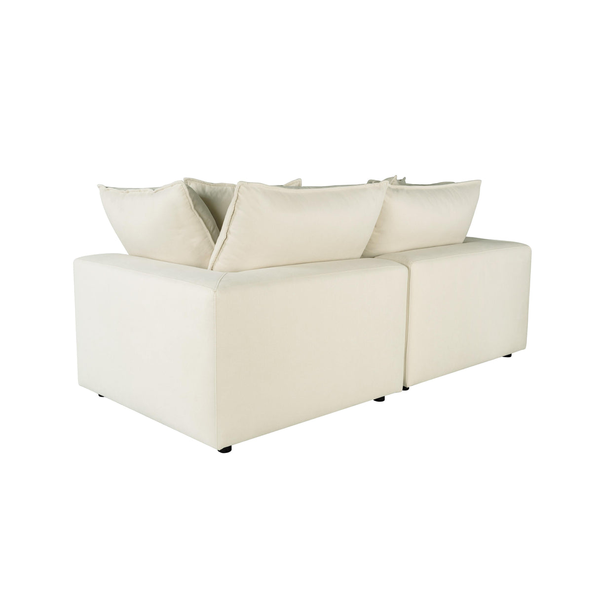Cali Performance Fabric Modular Loveseat by TOV Furniture at Eve Furniture