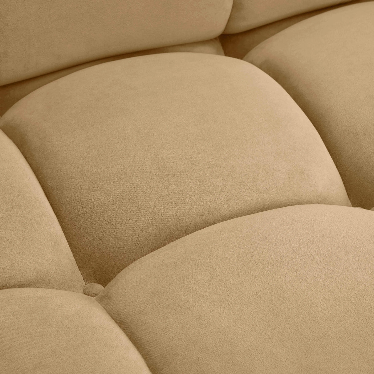 Calliope Cafe Au Lait Performance Velvet Modular Sofa by TOV Furniture at Eve Furniture