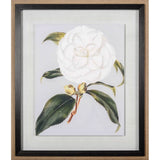 Camellia Japonica I by Vision Studio a Hand Embellished Textured Framed Art Print Matted under Glass by Mercana at Eve Furniture