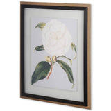 Camellia Japonica I by Vision Studio a Hand Embellished Textured Framed Art Print Matted under Glass by Mercana at Eve Furniture