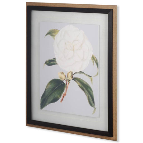 Camellia Japonica I by Vision Studio a Hand Embellished Textured Framed Art Print Matted under Glass by Mercana at Eve Furniture