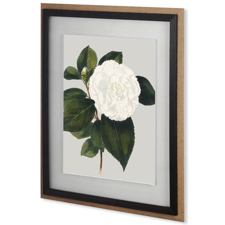 Camellia Japonica II by Vision Studio Hand Embellished Textured Framed Art Print Matted under Glass by Mercana at Eve Furniture