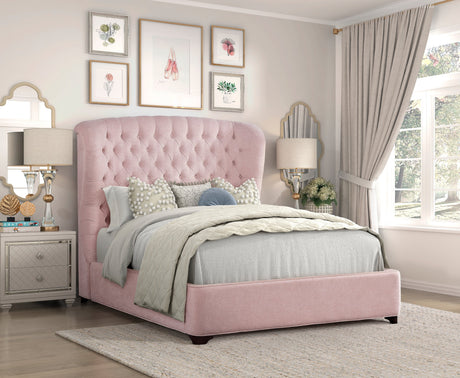 Cameo Pink California King Upholstered Wingback Bed by Homelegance at Eve Furniture