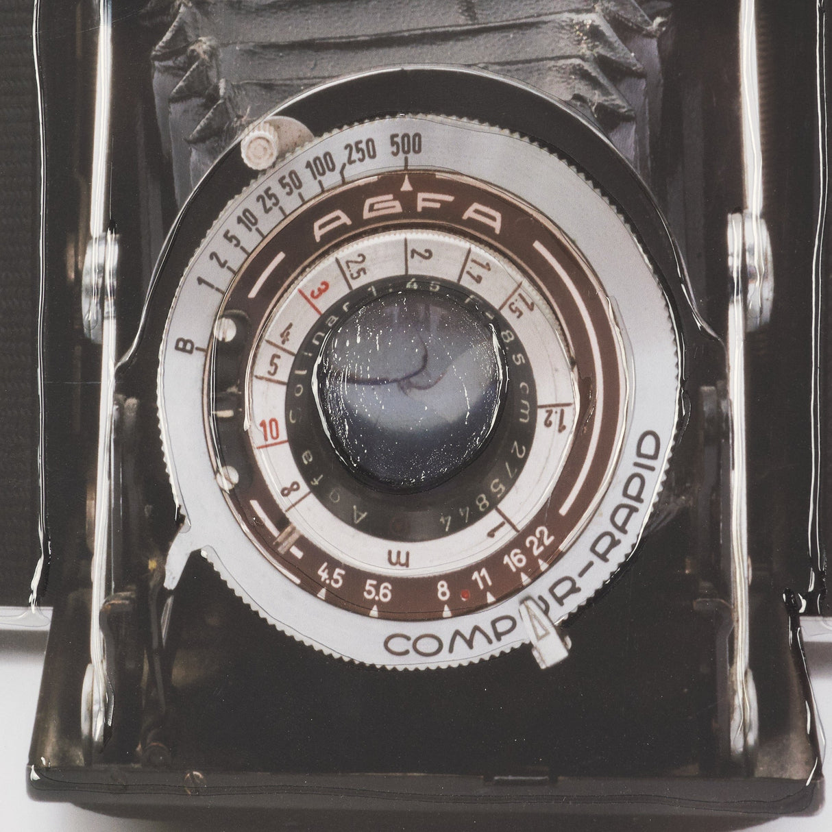 Camera by Deborah Revell Hand Embelished Framed Art Print Matted under Glass by Mercana at Eve Furniture