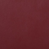 Camila Red Faux Leather 3-piece Upholstered Reclining Sofa Set by Coaster at Eve Furniture