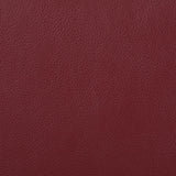 Camila Red Faux Leather Reclining Living Room Set by Coaster at Eve Furniture