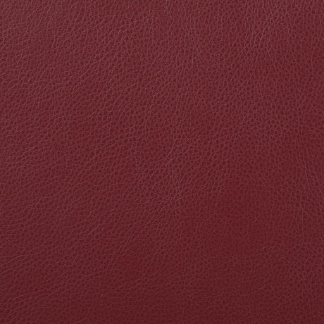 Camila Red Faux Leather Reclining Living Room Set by Coaster at Eve Furniture