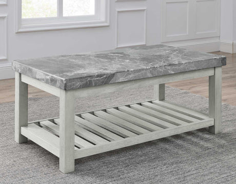 Canova Gray Marble Coffee Table by Steve Silver at Eve Furniture