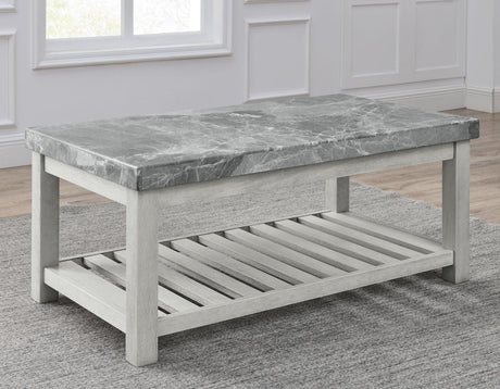 Canova Gray Marble Coffee Table by Steve Silver at Eve Furniture