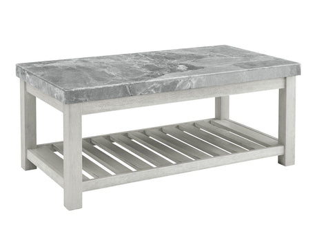 Canova Gray Marble Coffee Table by Steve Silver at Eve Furniture