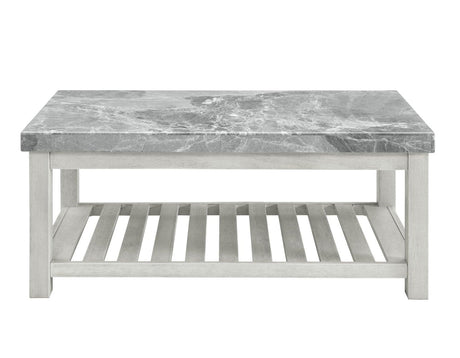 Canova Gray Marble Coffee Table by Steve Silver at Eve Furniture