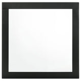 Caraway Black Dresser Mirror by Coaster at Eve Furniture