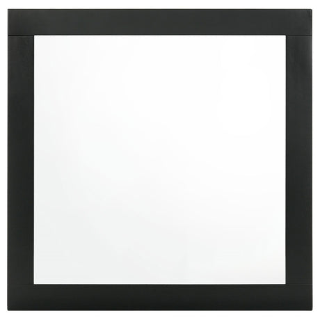 Caraway Black Dresser Mirror by Coaster at Eve Furniture