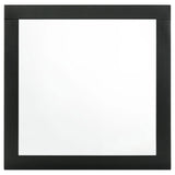 Caraway Black Dresser Mirror by Coaster at Eve Furniture