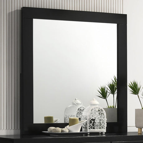 Caraway Black Dresser Mirror by Coaster at Eve Furniture