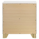 Caraway White 2-drawer Nightstand Bedside Table by Coaster at Eve Furniture