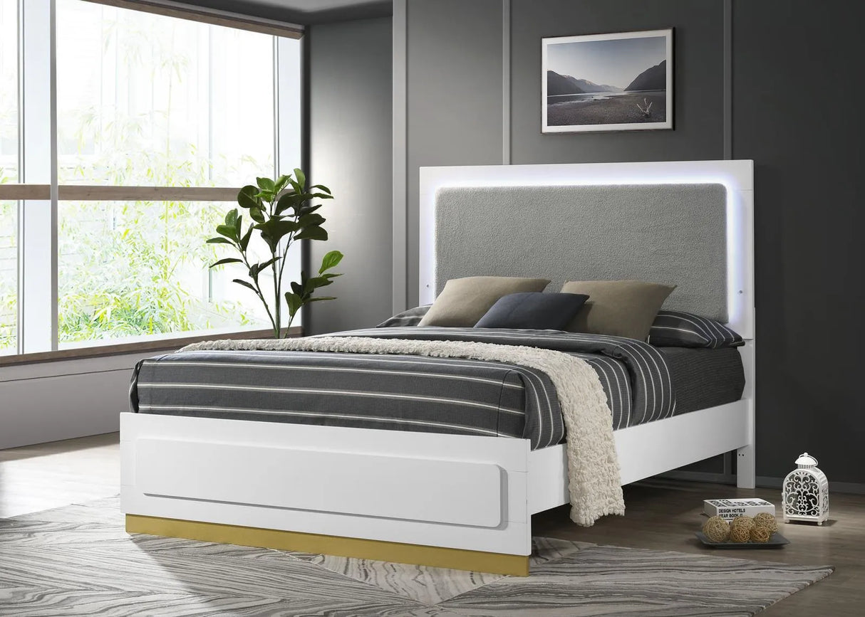 Caraway White and Grey Queen Bed with LED Headboard by Coaster at Eve Furniture
