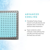CarbonCool LT + Omniphase White Queen Pillow by Malouf at Eve Furniture