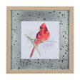 Cardinal I by Mercana Studio a Hand Embellished Textured Framed Art Print Matted under Glass by Mercana at Eve Furniture