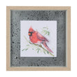 Cardinal III by Mercana Studio a Hand Embellished Textured Framed Art Print Matted under Glass by Mercana at Eve Furniture