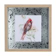 Cardinal IV by Mercana Studio a Hand Embellished Textured Framed Art Print Matted under Glass by Mercana at Eve Furniture
