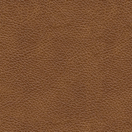 Carianna Caramel Leather Sofa and Loveseat by Ashley at Eve Furniture