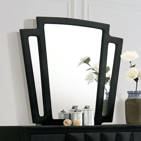 Carissa Black Mirror by Furniture of America at Eve Furniture