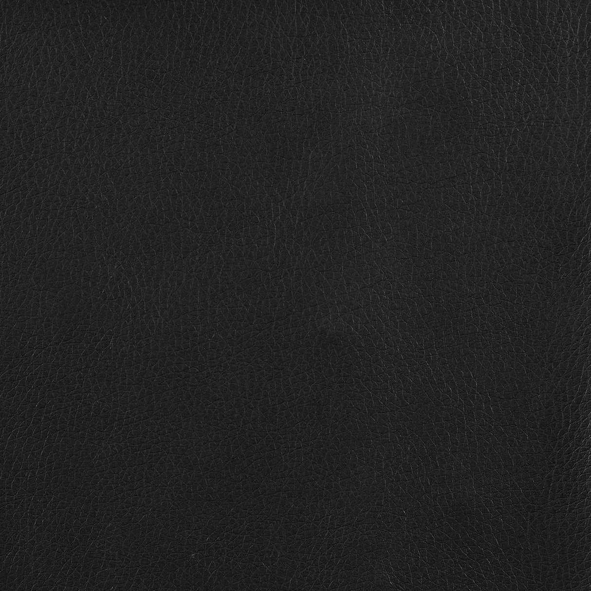 Carlos Black Arched Armrest Upholstered Office Chair by Coaster at Eve Furniture