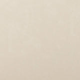 Carnation Cream Performance Vegan Leather Dining Chair by TOV Furniture at Eve Furniture