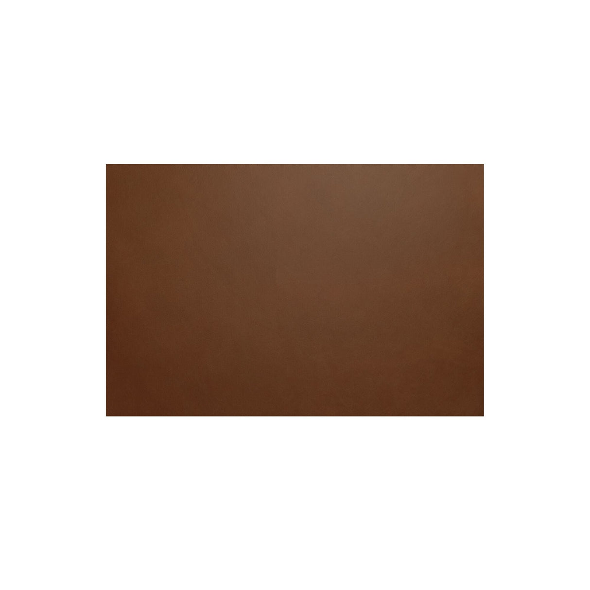 Carol Tan Dining Leather Chair (Set of 2) by MOES at Eve Furniture