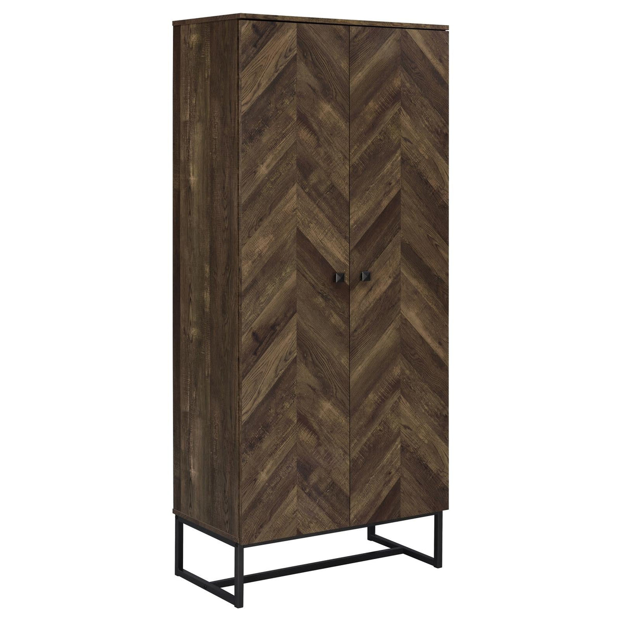 Carolyn Rustic Oak/Gunmetal 2-Door Accent Cabinet